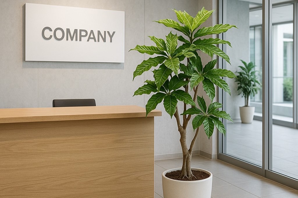 受付エントランスに観葉植物を設置した画像
